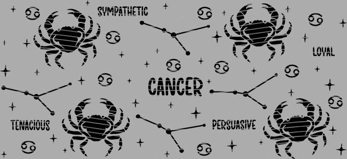 16oz Constellation-CI-272